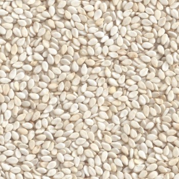 Seto Till (White Sesame) - 500gm